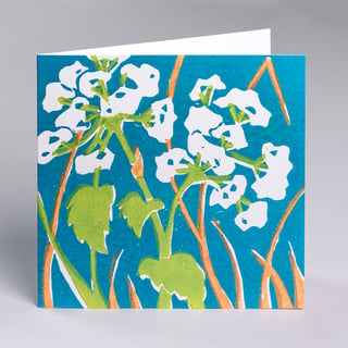 Cow Parsley - Gardeners Greeting Card - Blank