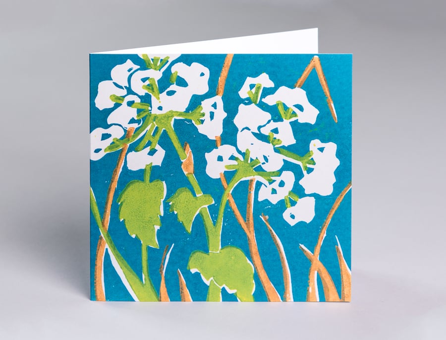 Cow Parsley - Gardeners Greeting Card - Blank