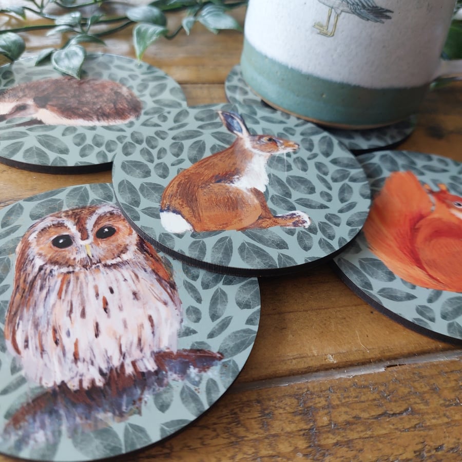 Coasters round wildlife special offer homeware 