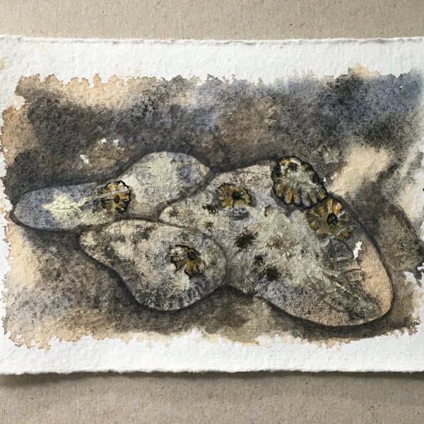 Golden pebbles and barnacles art original 