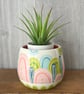 Ceramic hand thrown pot with unique pattern