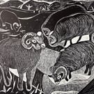 Hebredian Sheep Far Ings 