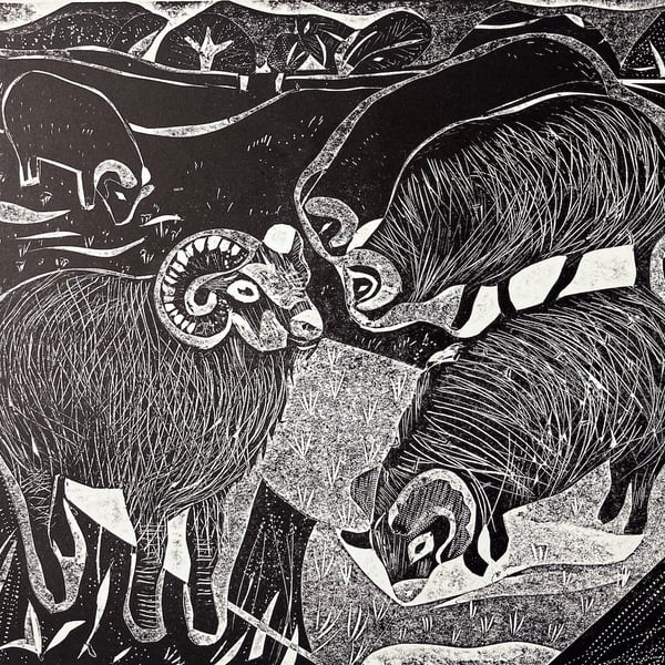 Hebredian Sheep Far Ings 