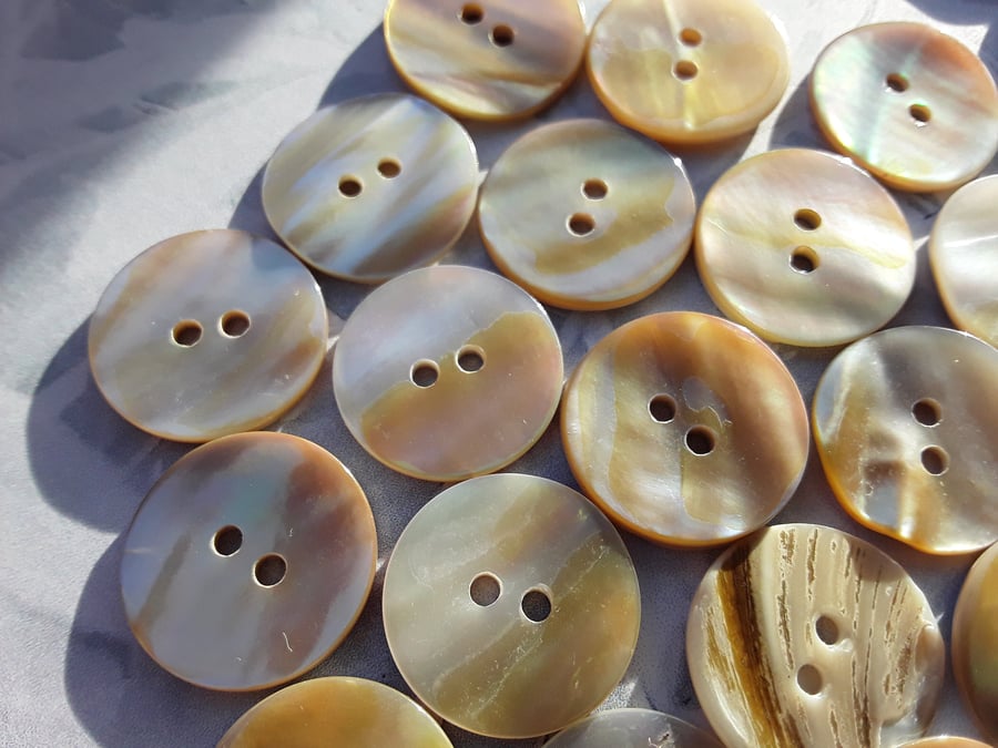 RARE 18mm almost 3 4" Real Shell(with skin) Pearl GOLD x 6