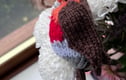 British Wild birds Collection 