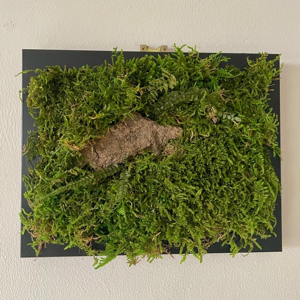 Framed Forest Vignette (3 of 6)