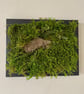 Framed Forest Vignette (3 of 6)