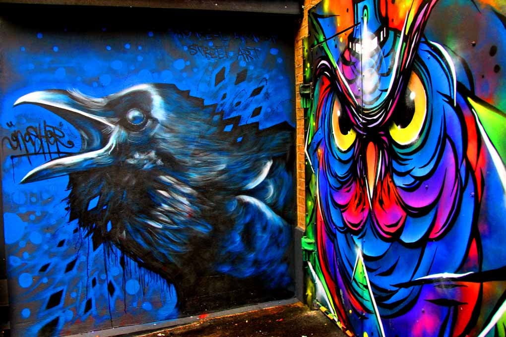 Bird Graffiti Street Art Camden London Photograph Print