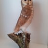 Tawny Owl sculpture ooak,collectable needle felted wool 