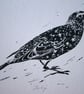 Starling Linocut Art Print - Image 7