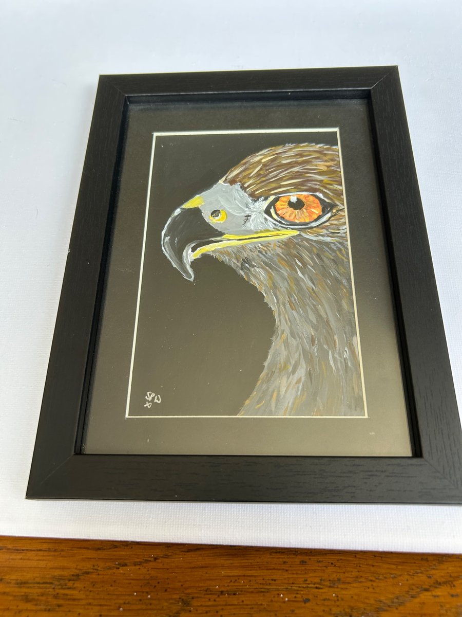 Original eagle painting 5x7" wildlife artwork 