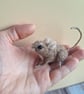 Mischief Mouse - Chip - Image 5