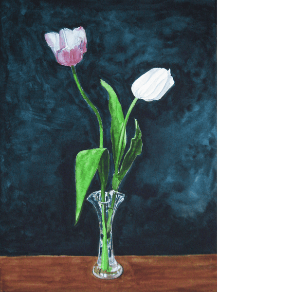 Last of the Tulips. Original watercolour painting, signed by the artist.