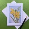 Daffodils - greetings card - blank for own message