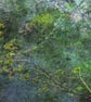 'What The River Says (1)' - Image 4