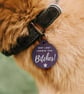 Lookin' For B'tches - Personalised Dog ID Collar Tag: Funny Custom Pet Safety