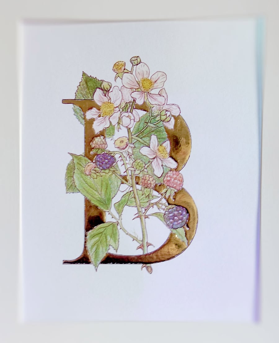 Watercolour Original Art with Gold Leaf Letter B.  Blackberries and Blossom.