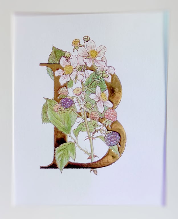 Watercolour Original Art with Gold Leaf Letter B.  Blackberries and Blossom.