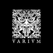 VARIVM Silver Jewellery