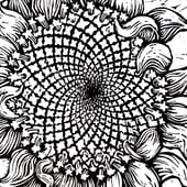 Noel Perkins Artist