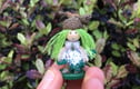 Extra Tiny Fairies
