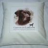 Chocolate Labrador Portrait cushion