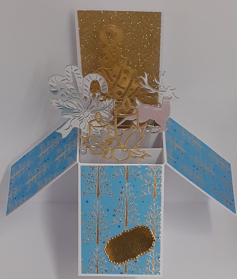 Christmas Card For Mum & Dad