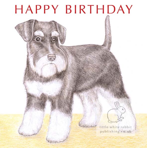 Alice the Miniature Schnauzer - Birthday Card