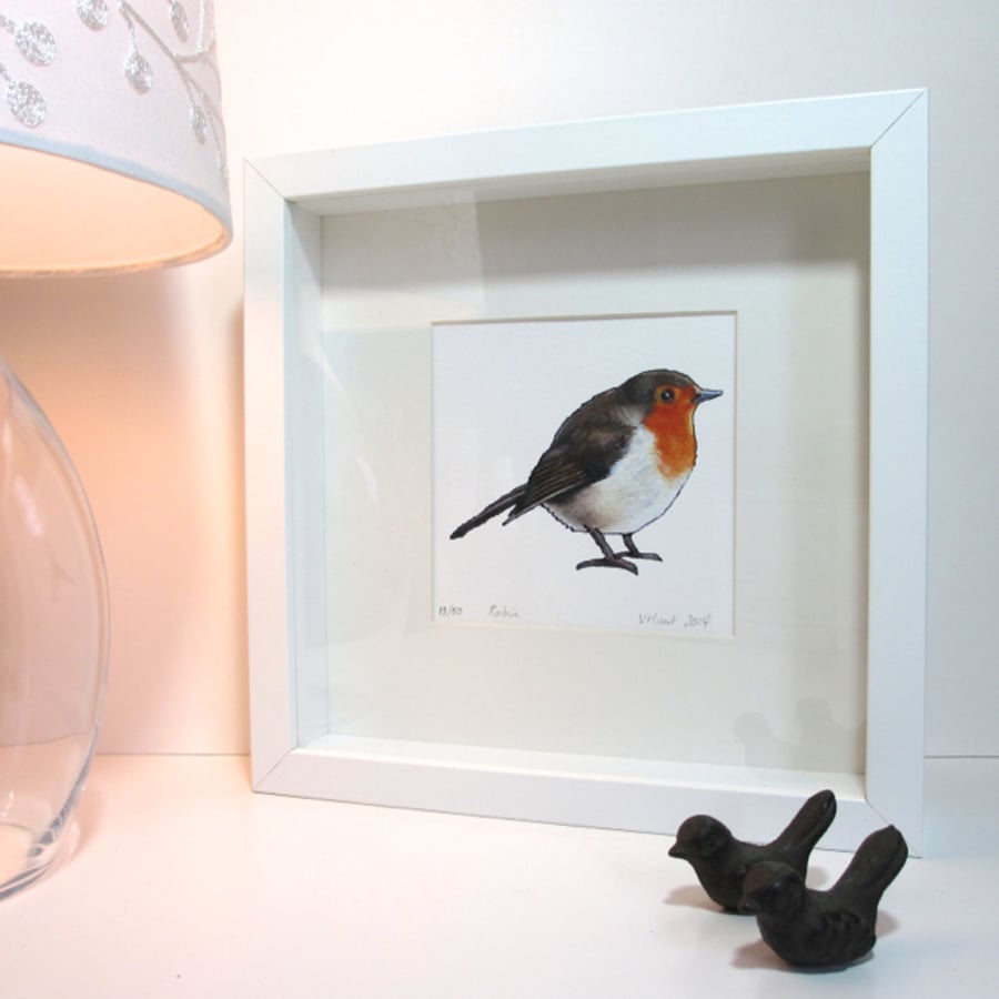 Robin Print  (READY TO SHIP) - Framed and Mounted (can be personalised)