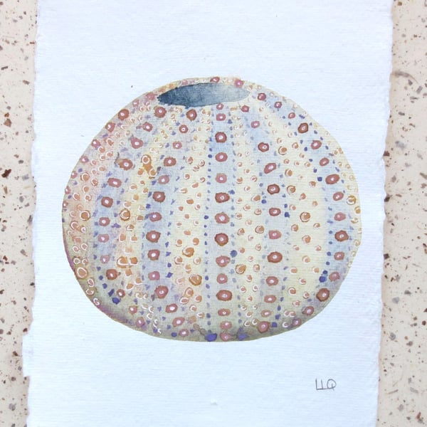 Original watercolour painting of a sea urchin coastal decor art seaside style