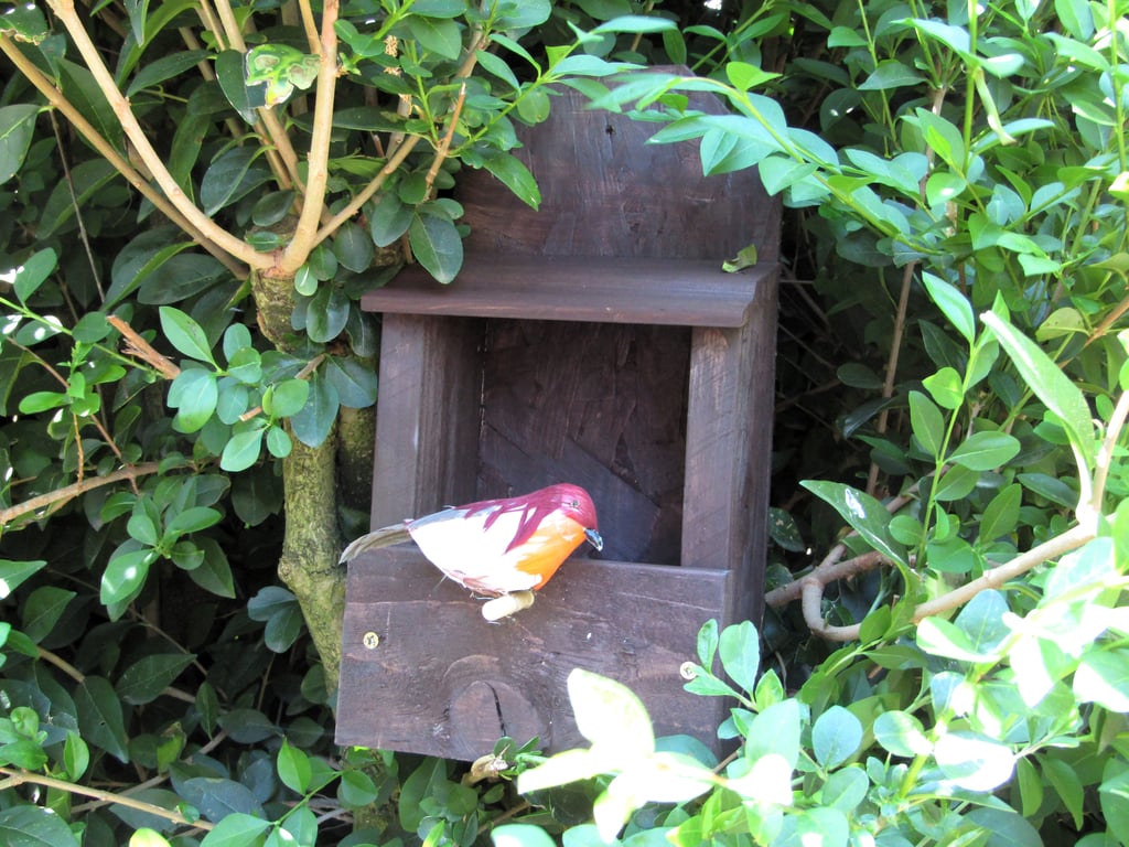 Dark Brown Wooden Robin Wild Bird Nesting Box Wren Nest Box Wagtail Garden House