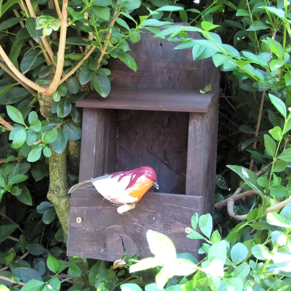Dark Brown Wooden Robin Wild Bird Nesting Box Wren Nest Box Wagtail Garden House