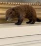 Needle Felted Beaver Ornament 