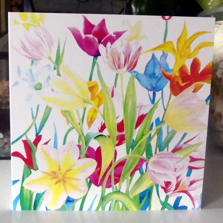  Colourful Spring Tulips Blank Greeting Card from Original Watercolour Painting