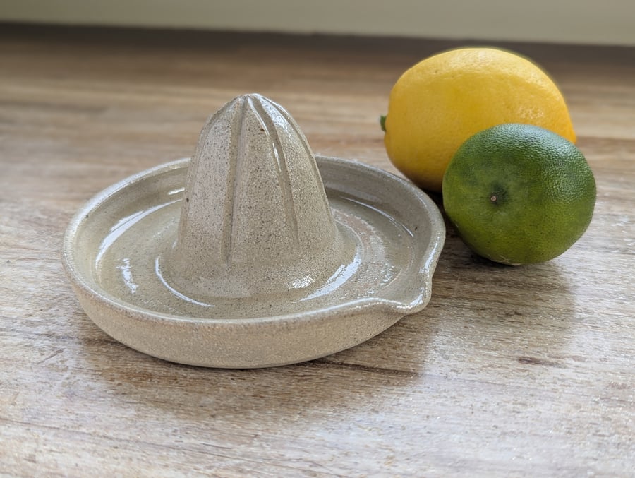 Ceramic citrus juicer 