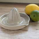 Ceramic citrus juicer 