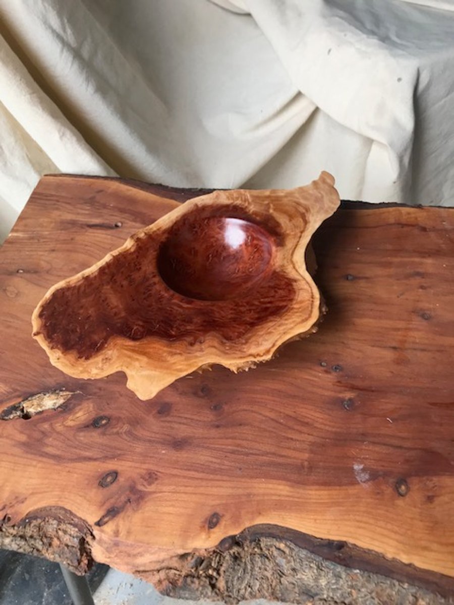 Red Mallee Gum coin tray