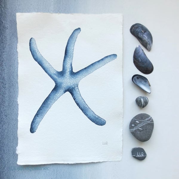 Starfish watercolour illustration painting coastal collection series