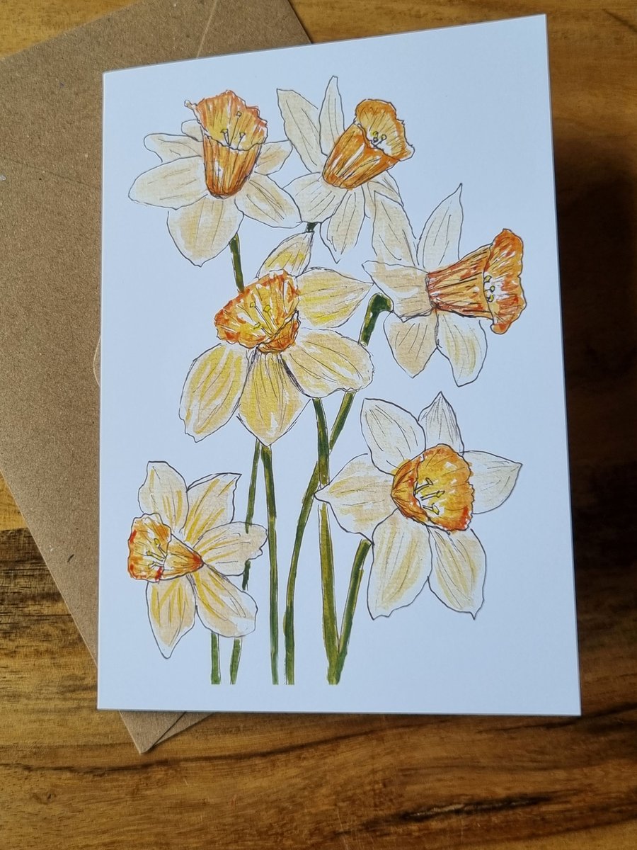 Greeting Card - Blank - Daffodils