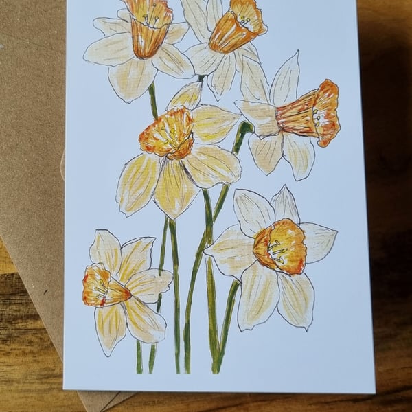 Greeting Card - Blank - Daffodils