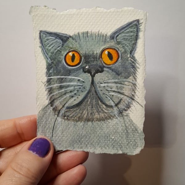 Long Haired Grey Cat Portrait illustration 