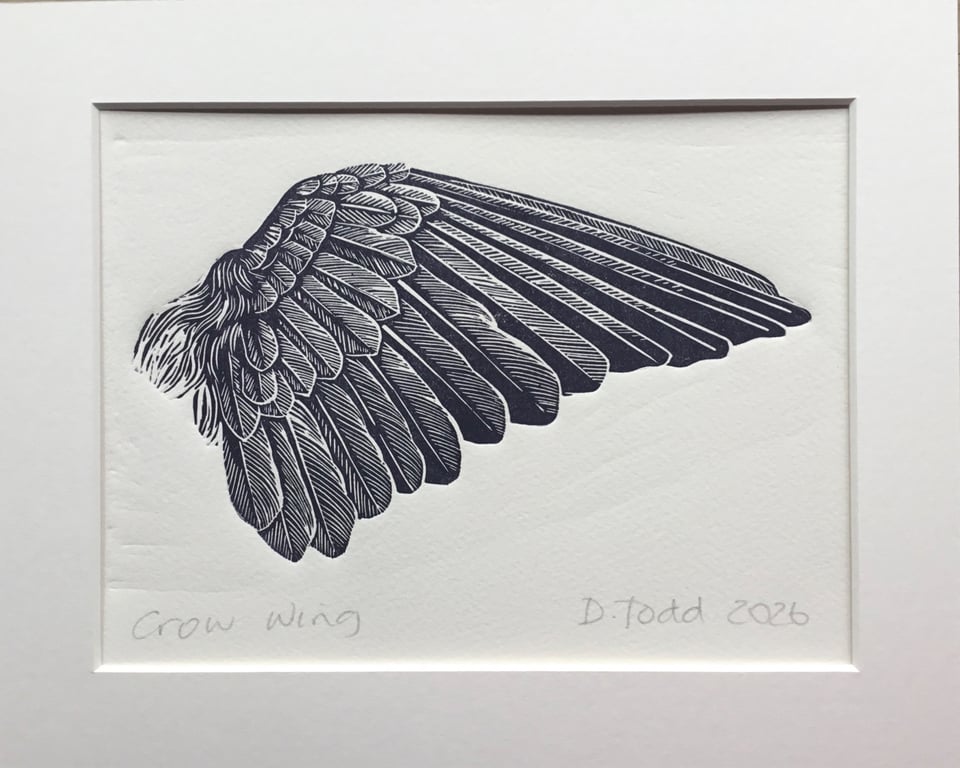 'Crow Wing ' Linocut Print