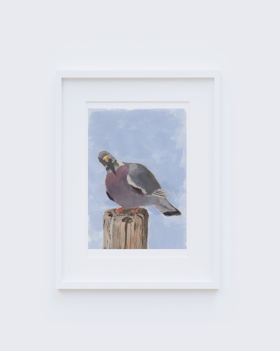 Wood Pigeon Art Print - 5x7 inches