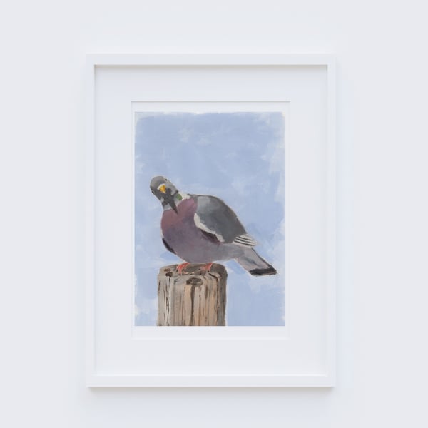 Wood Pigeon Art Print - 5x7 inches