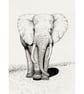 Elephant Small Original Graphite Pencil Drawing - Image 2