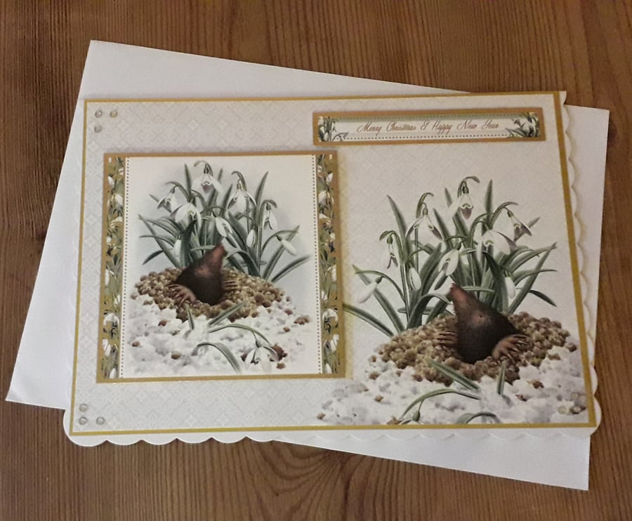 Luxurious Mole Merry Christmas Card