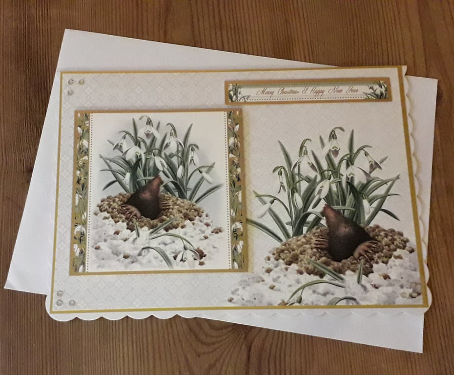 Luxurious Mole Merry Christmas Card