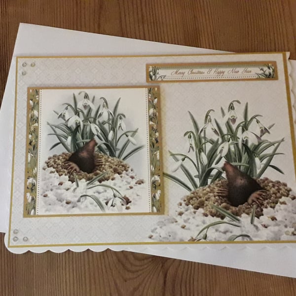 Luxurious Mole Merry Christmas Card