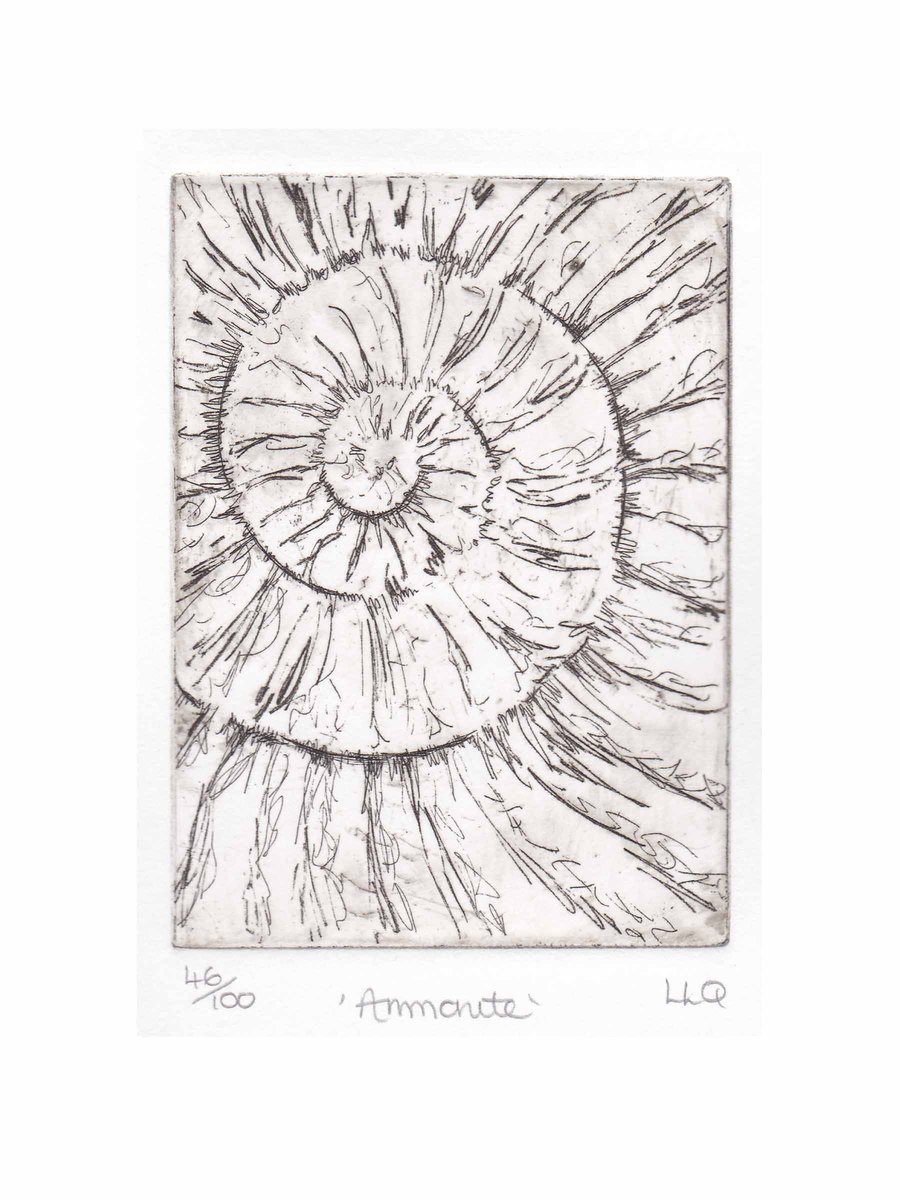 Etching no.46 of an ammonite fossil in an edition of 100