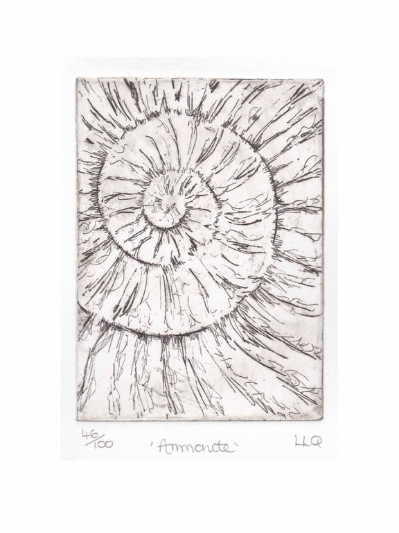 Etching no.46 of an ammonite fossil in an edition of 100